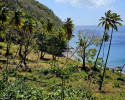 Land Gros Piton Leading to the Beach