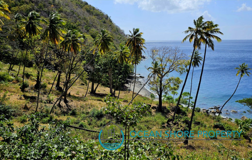 Land Gros Piton Leading to the Beach