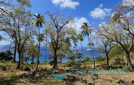 Land Gros Piton Leading to the Beach